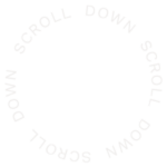 icon-scroll-down