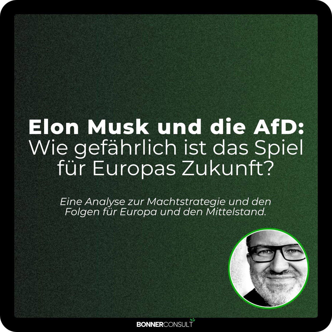 Elon Musk und die AfD- Wie gefährlich ist das Spiel für Europas Zukunft by Martin Bonner andBONNERCONSULT - Marktmonitor™